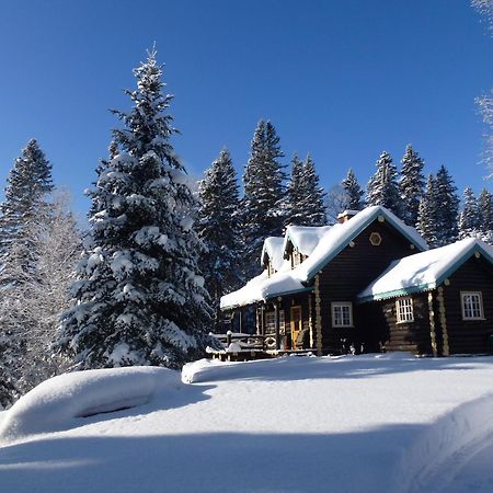 Domaine Le Bostonnais - Le Village En Bois Rond La Tuque Bagian luar foto