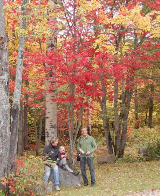 Domaine Le Bostonnais - Le Village En Bois Rond La Tuque Bagian luar foto