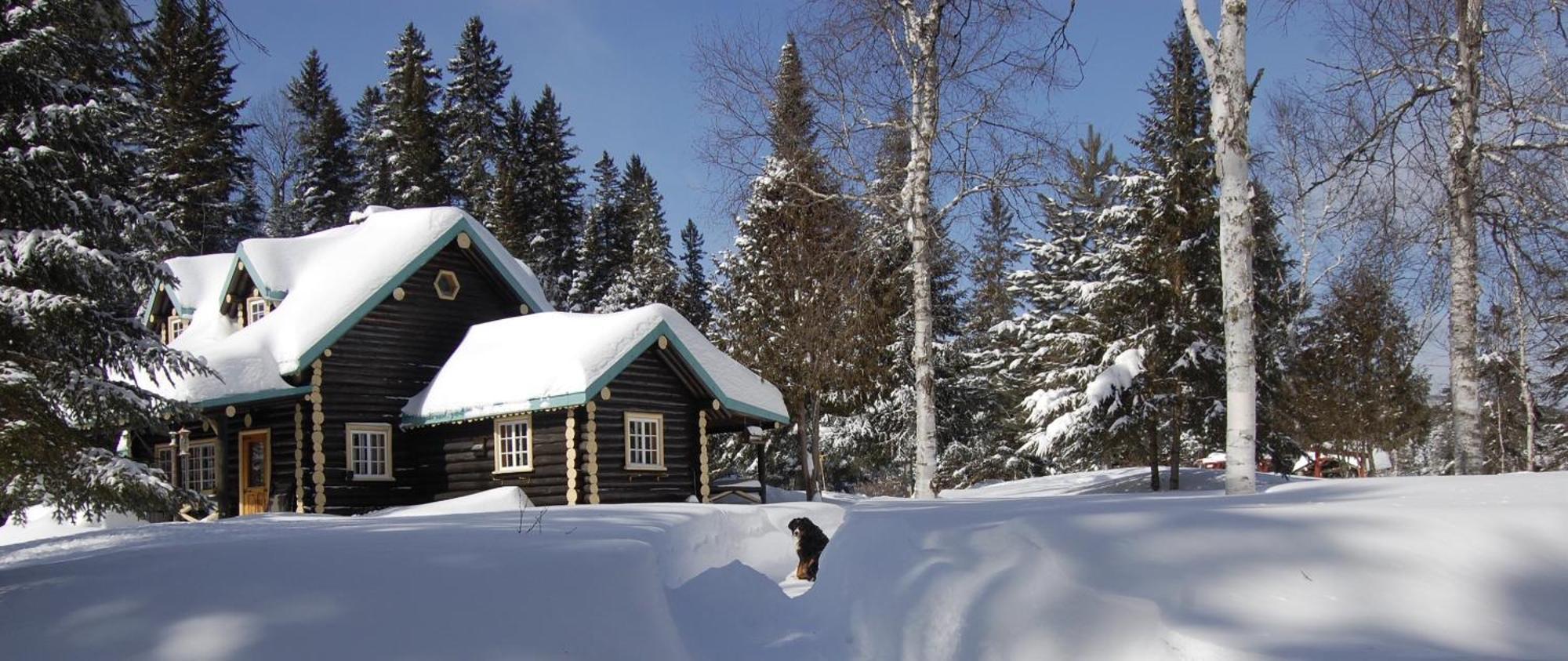 Domaine Le Bostonnais - Le Village En Bois Rond La Tuque Bagian luar foto