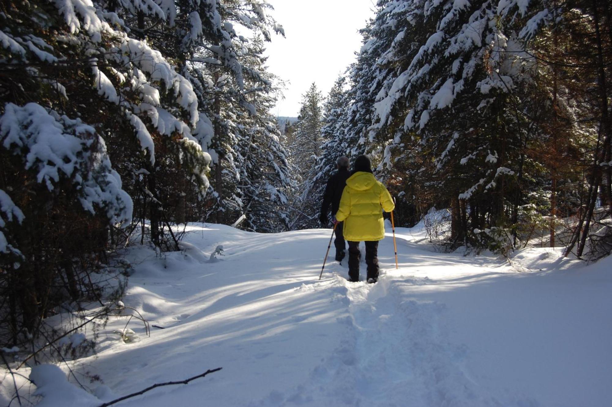 Domaine Le Bostonnais - Le Village En Bois Rond La Tuque Bagian luar foto